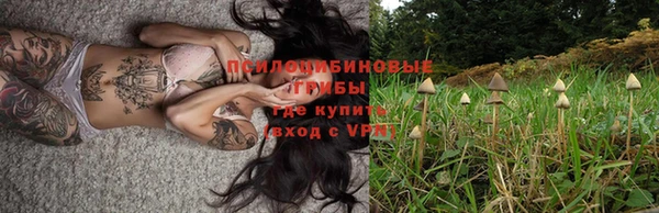 метадон Вяземский