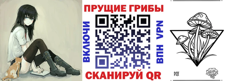 Псилоцибиновые грибы Cubensis  купить закладку  Иноземцево 